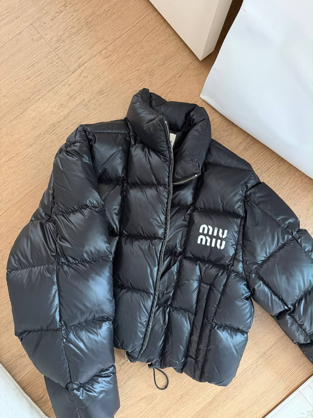 Miu Miu
