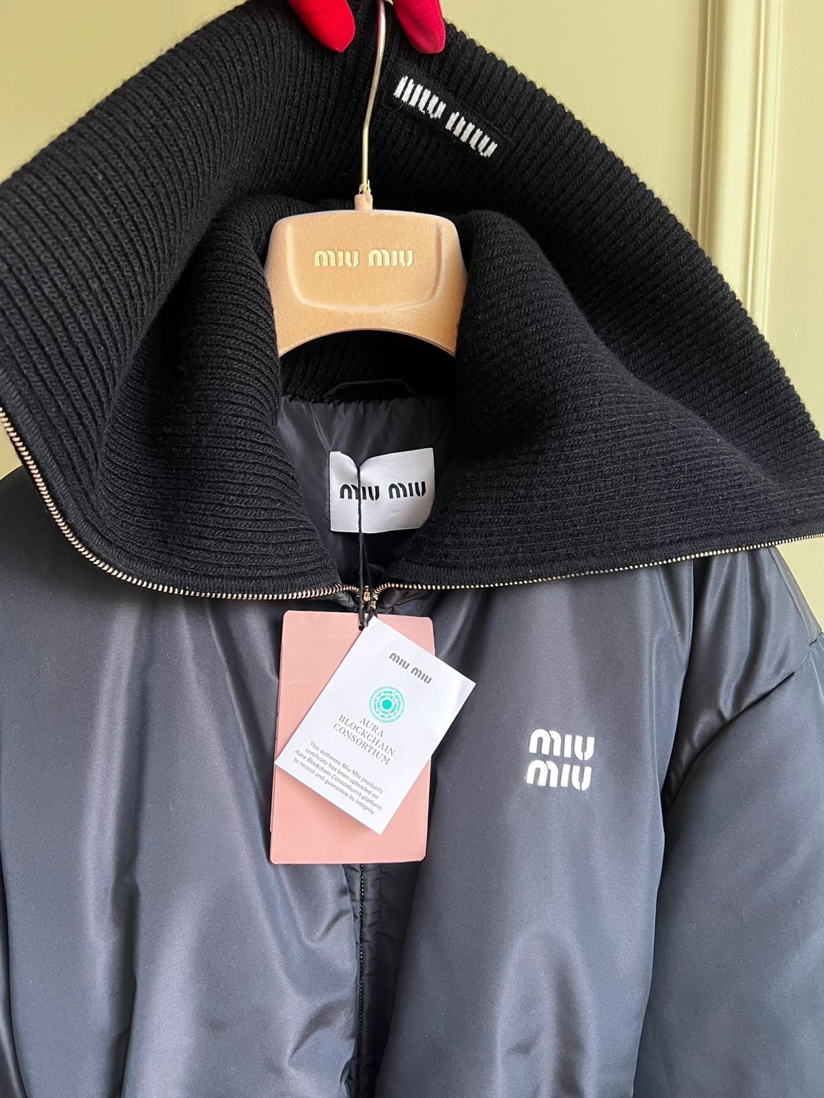 Miu Miu