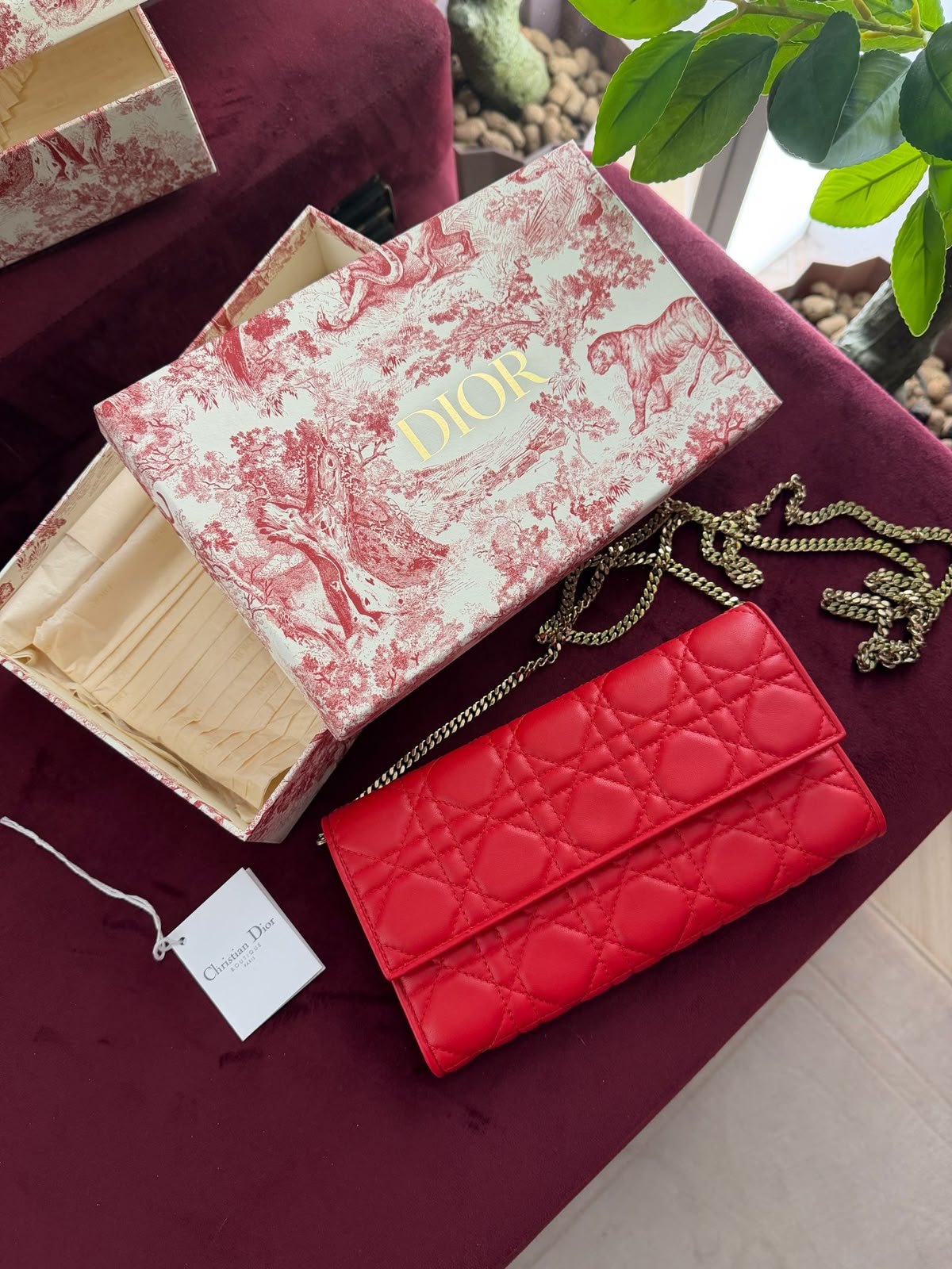 Dior